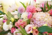 搬家必备——室内植物（让你的新家绿意盎然，心情舒畅）