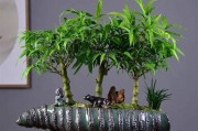 家里如何种植健康的竹子（如何在家中种植竹子，打造健康绿色环境）
