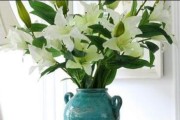百合花醒花方法（打破冬季沉睡，让花开绚烂）