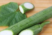 丝瓜子的营养与作用大揭秘（远古药王的瑰宝—丝瓜子的功效与食用方法）