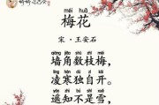 梅花之美，代表君子风范（解读梅花，体现高尚情操）