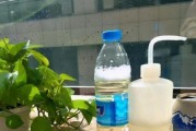 多肉植物浇啤酒？这是真的吗！（正确的浇啤酒方法，让你的多肉更健康！）
