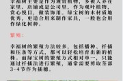 绿宝树的养殖方法和注意事项（打造自家绿色空间，学会绿宝树养殖法）
