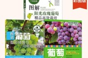玫瑰花病虫害防治技术与方法（掌握这些方法，轻松防治玫瑰花病虫害）