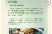 以吊兰怎么施肥翻土（打造健康吊兰的养殖秘诀）