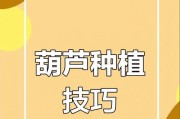 种子发芽后的追肥技巧（科学追肥，助力植物健康生长）