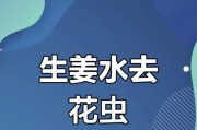 花卉里的虫子（保护花卉健康，远离虫害困扰）
