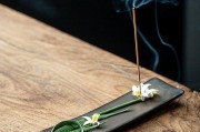 如何在家中种出美丽的白兰花（最佳扦插时间与繁殖方法）